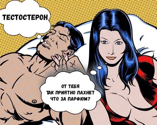 Курилка- разговоры на любые темы - Бодибилдинг форум AnabolicShops