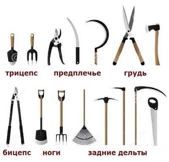 Курилка- разговоры на любые темы - Бодибилдинг форум AnabolicShops