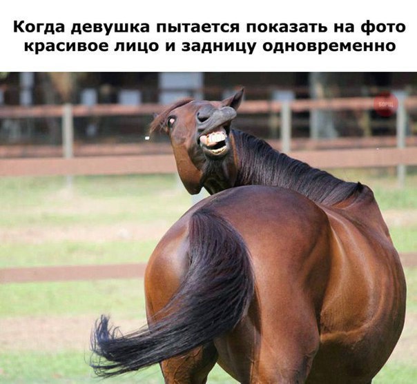 Thomas&Co - Медицинское качество. - Бодибилдинг форум AnabolicShops