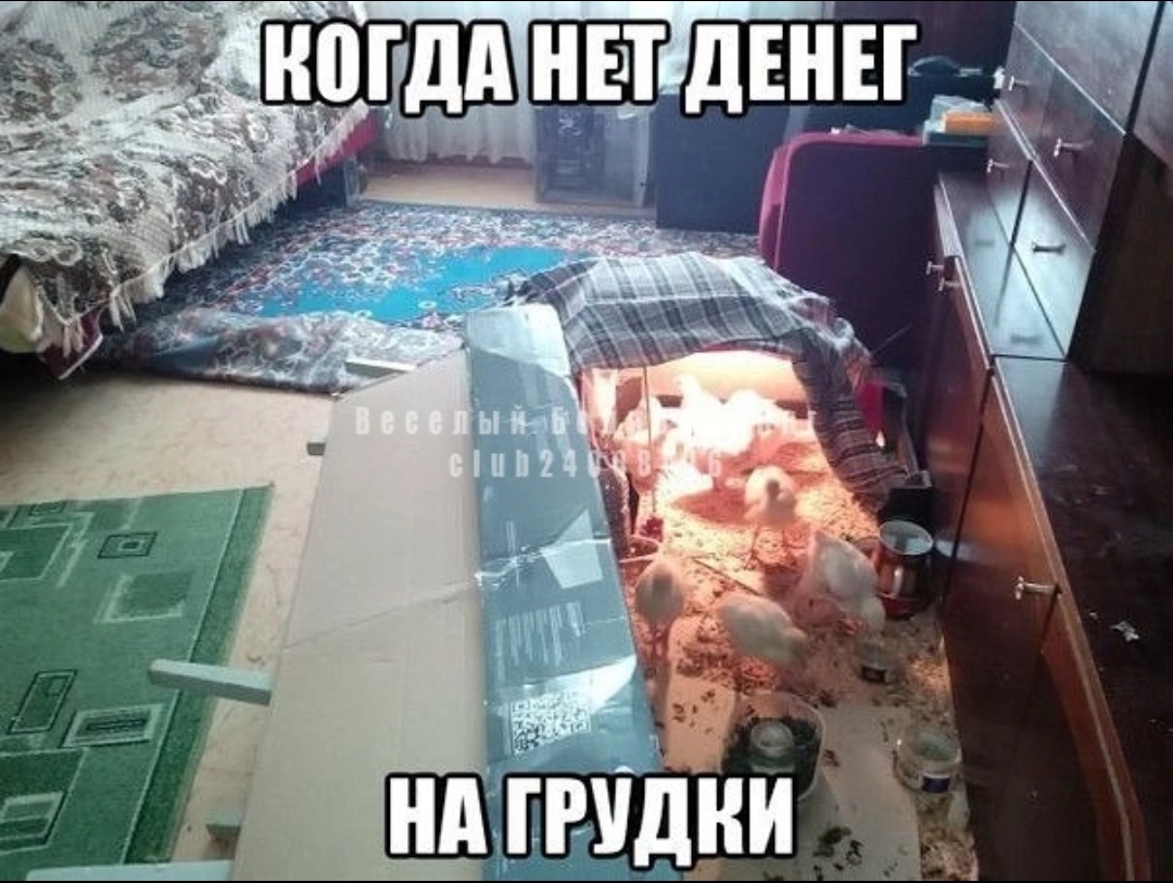 Анекдоты обо всем - Бодибилдинг форум AnabolicShops
