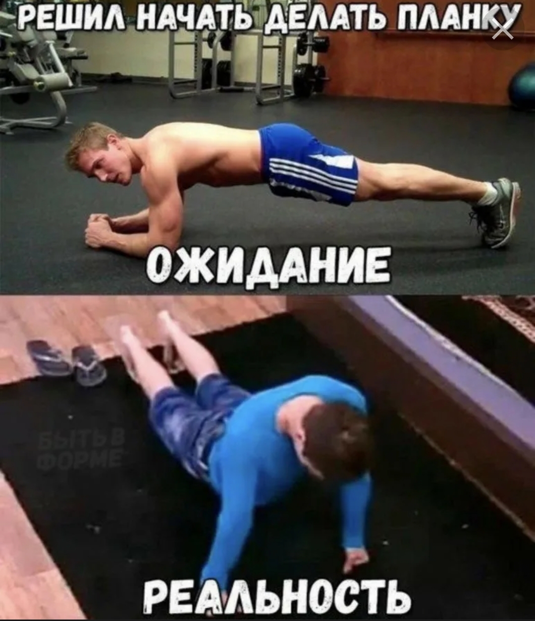 Анекдоты обо всем - Бодибилдинг форум AnabolicShops