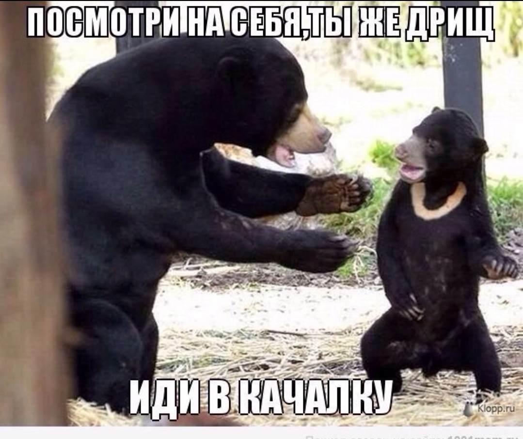 Анекдоты обо всем - Бодибилдинг форум AnabolicShops