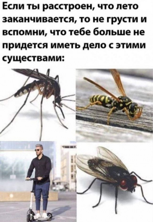 Курилка- разговоры на любые темы - Бодибилдинг форум AnabolicShops