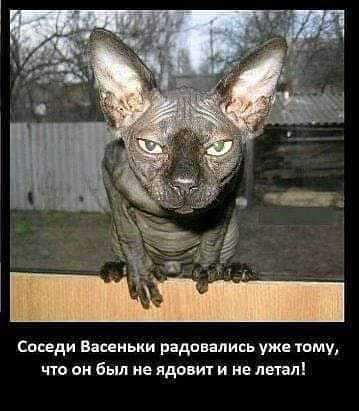 Анекдоты обо всем - Бодибилдинг форум AnabolicShops