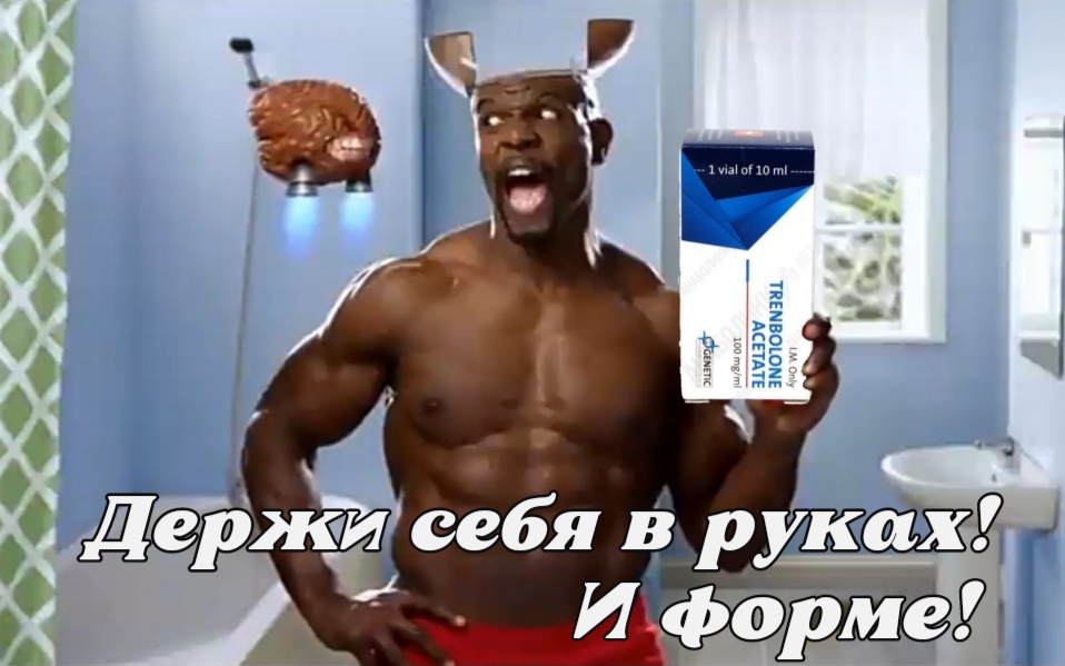 АНАБОЛИКИ.net - оф.дилер SP, Zerox, Genetic, Magnus, Lyka ! - Бодибилдинг форум AnabolicShops