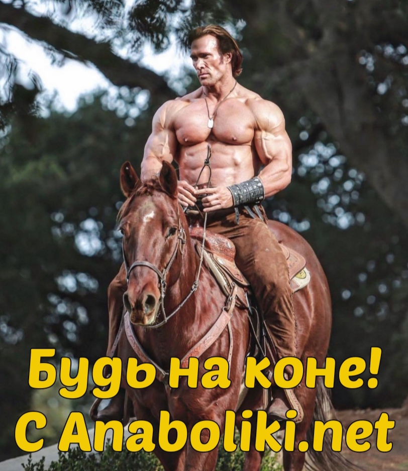 АНАБОЛИКИ.net - оф.дилер SP, Zerox, Genetic, Magnus, Lyka ! - Бодибилдинг форум AnabolicShops