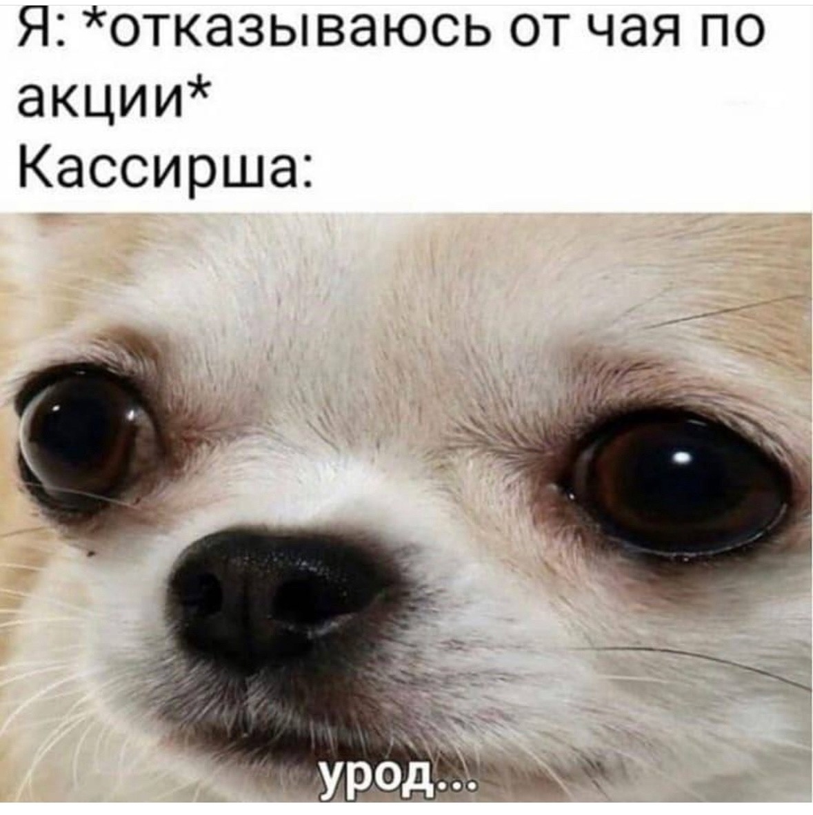 Анекдоты обо всем - Бодибилдинг форум AnabolicShops