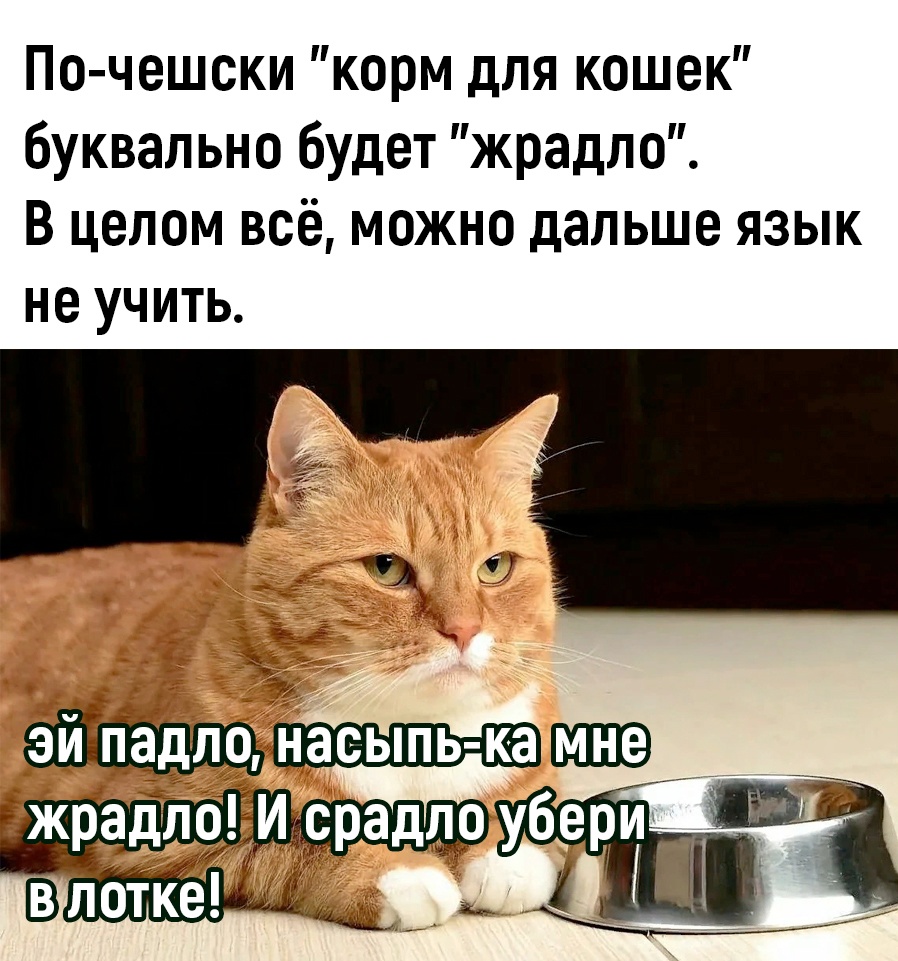 Анекдоты обо всем - Бодибилдинг форум AnabolicShops