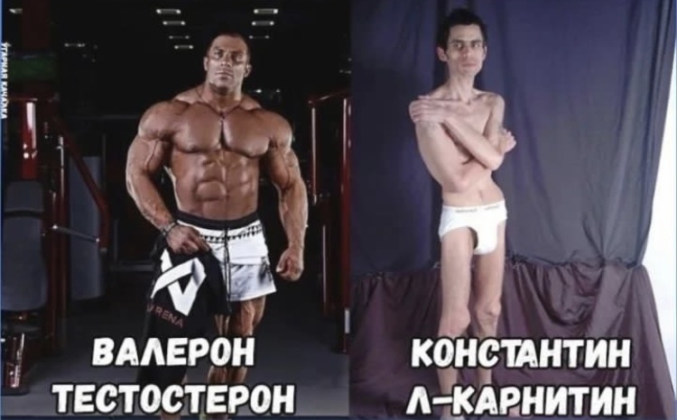 Hilma pro - Мы вернулись! и запустили Акцию! - Бодибилдинг форум AnabolicShops