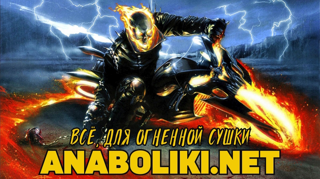 АНАБОЛИКИ.net - оф.дилер SP, Zerox, Genetic, Magnus, Lyka ! - Бодибилдинг форум AnabolicShops
