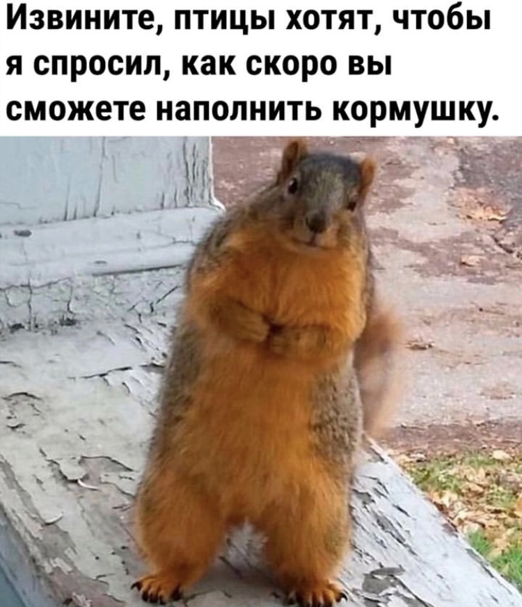 Hilma pro - Мы вернулись! и запустили Акцию! - Бодибилдинг форум AnabolicShops