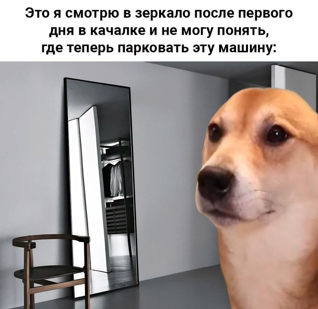 Курилка- разговоры на любые темы - Бодибилдинг форум AnabolicShops