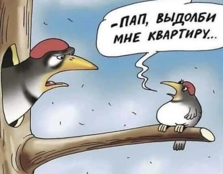 Hilma pro - Мы вернулись! и запустили Акцию! - Бодибилдинг форум AnabolicShops