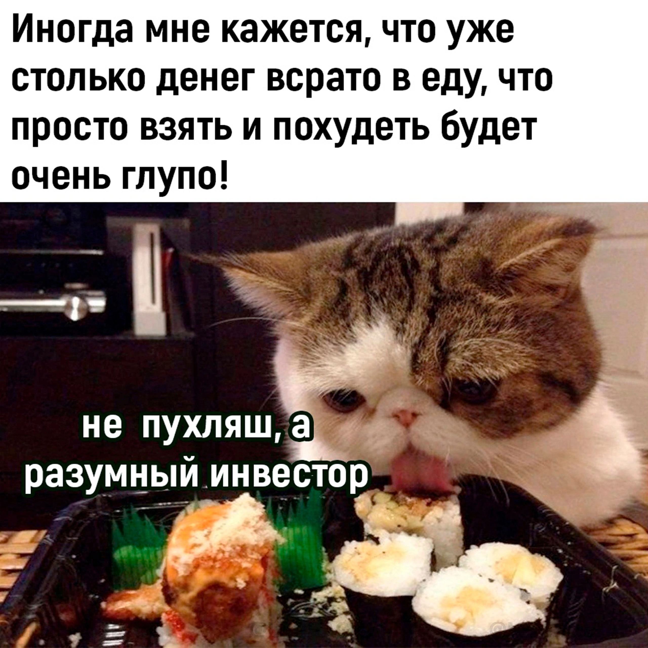 Hilma pro - Мы вернулись! и запустили Акцию! - Бодибилдинг форум AnabolicShops
