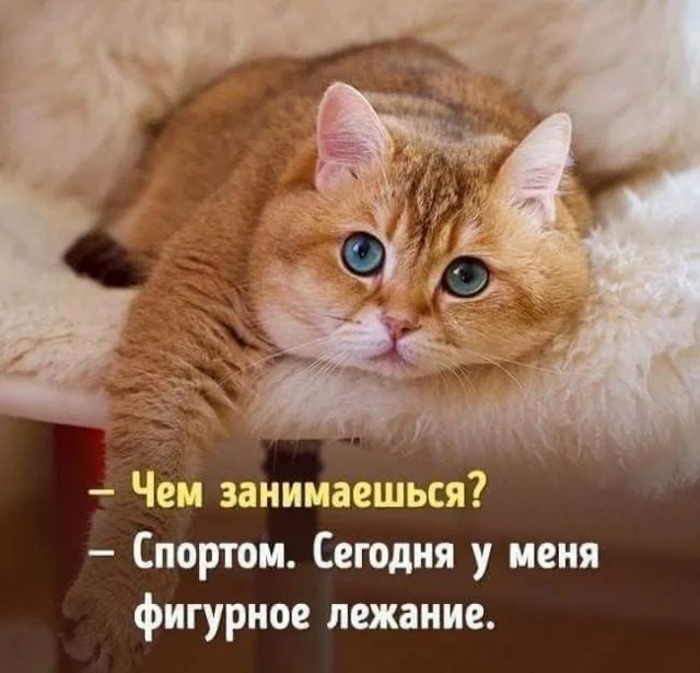 Курилка- разговоры на любые темы - Бодибилдинг форум AnabolicShops