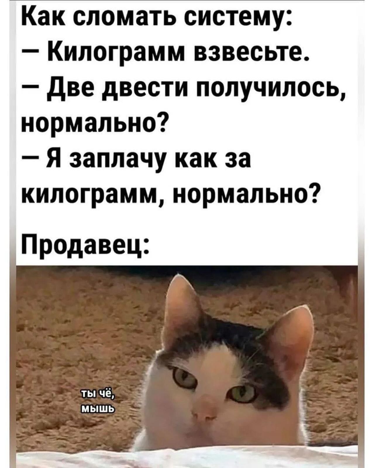Hilma pro - Мы вернулись! и запустили Акцию! - Бодибилдинг форум AnabolicShops