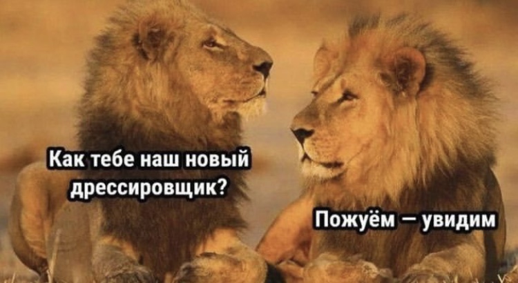 Hilma pro - Мы вернулись! и запустили Акцию! - Бодибилдинг форум AnabolicShops
