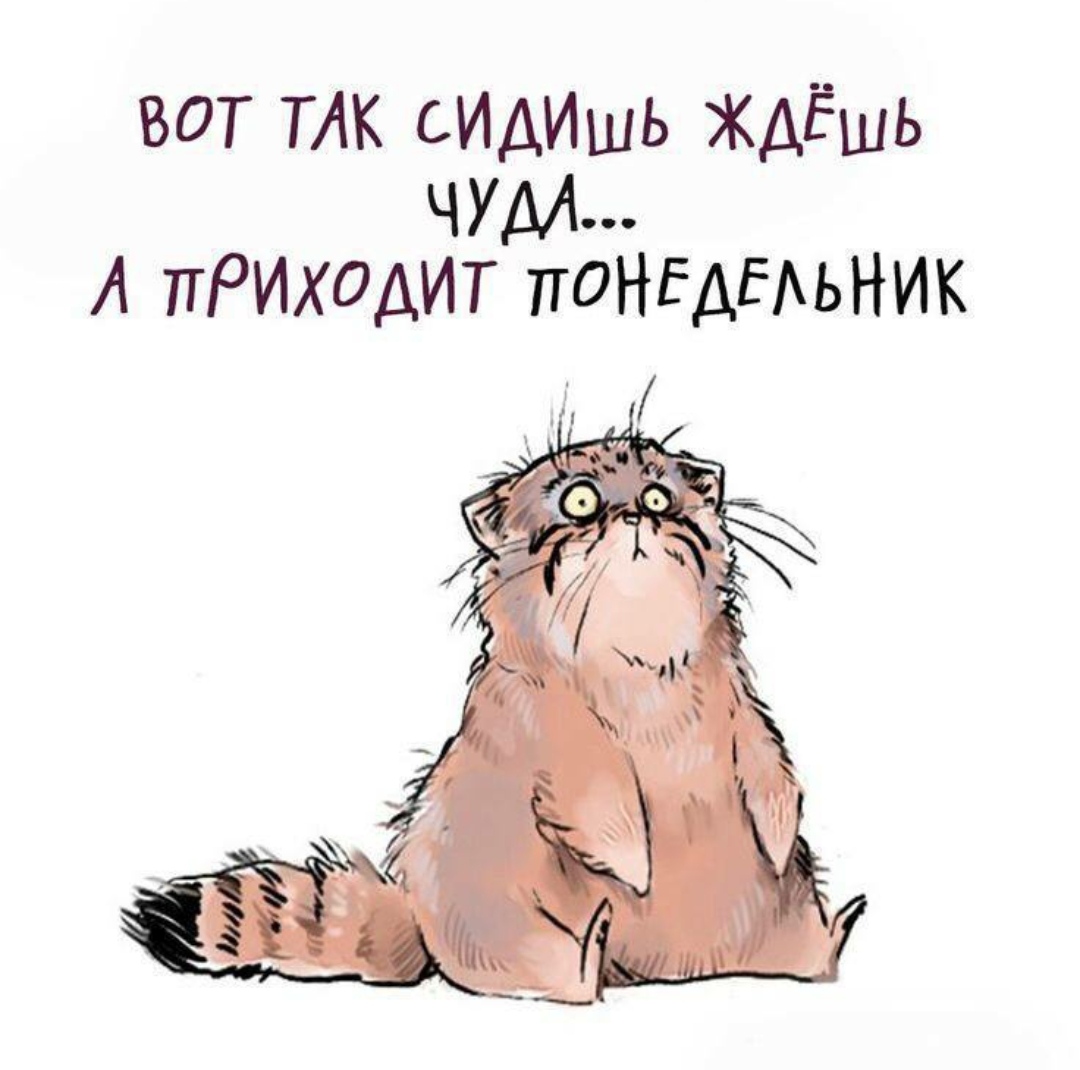 Hilma pro - Мы вернулись! и запустили Акцию! - Бодибилдинг форум AnabolicShops
