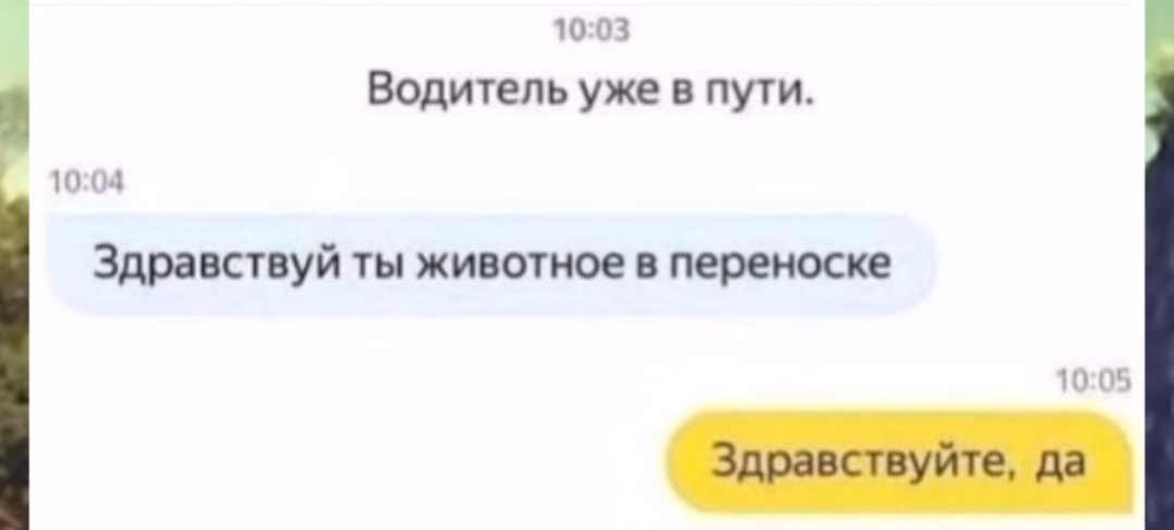 Курилка- разговоры на любые темы - Бодибилдинг форум AnabolicShops