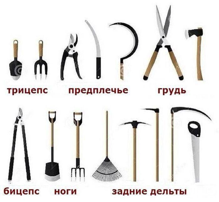 Hilma pro - Мы вернулись! и запустили Акцию! - Бодибилдинг форум AnabolicShops