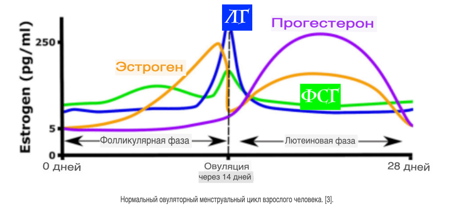 Hilma pro - Мы вернулись! и запустили Акцию! - Бодибилдинг форум AnabolicShops