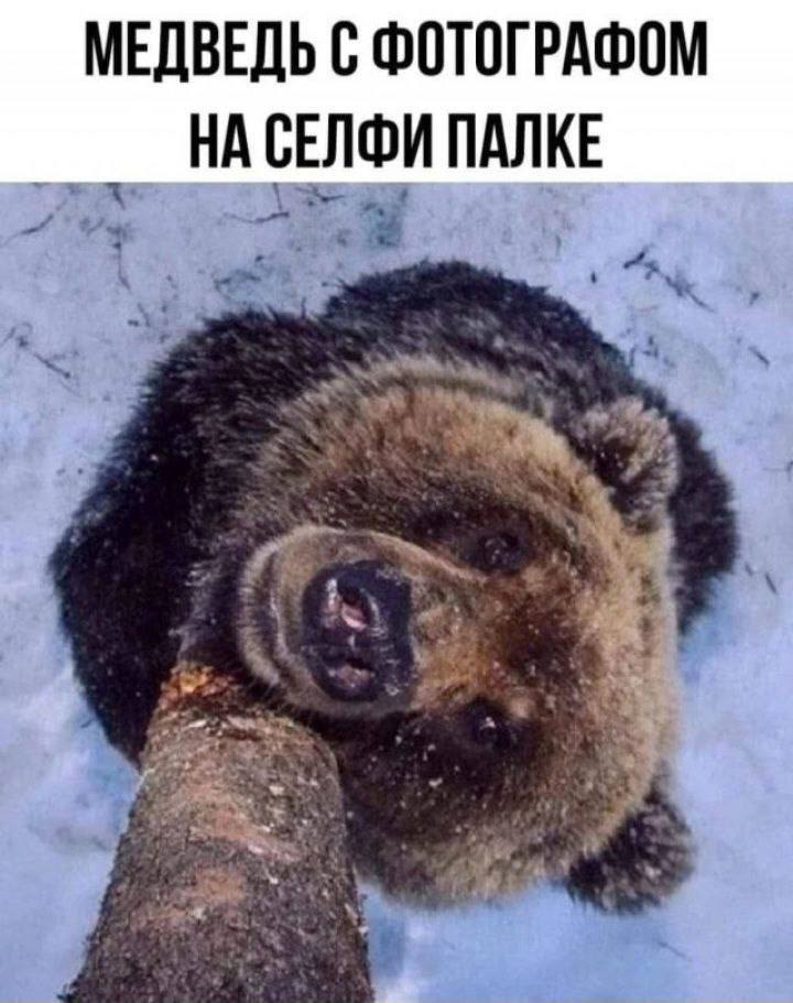 Приколюшные картинки - Бодибилдинг форум AnabolicShops