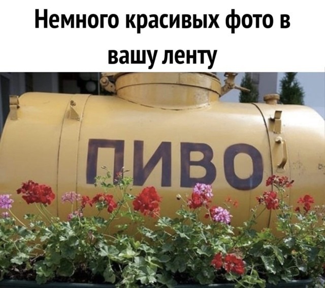 Пиво от Антона - Бодибилдинг форум AnabolicShops
