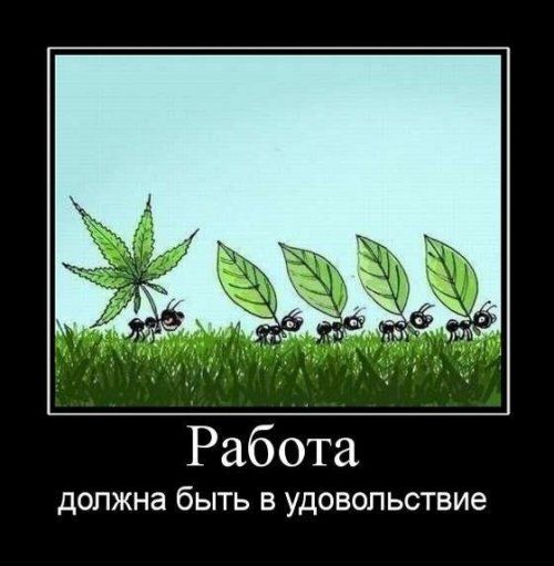Курилка- разговоры на любые темы - Бодибилдинг форум AnabolicShops