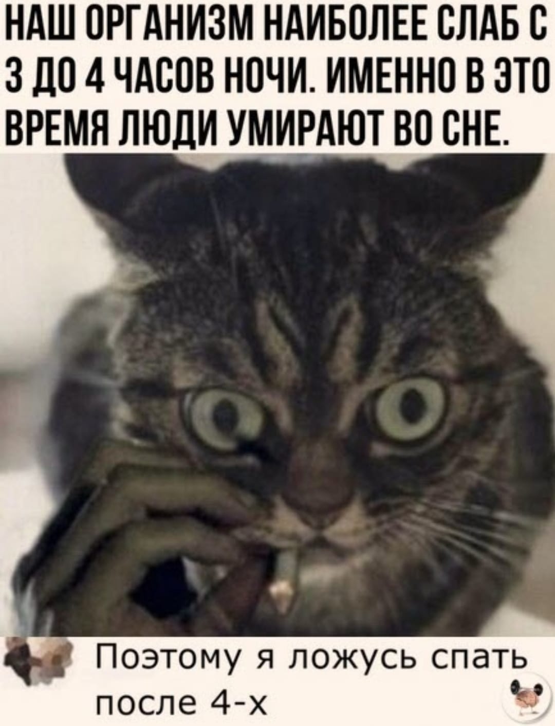 Курилка- разговоры на любые темы - Бодибилдинг форум AnabolicShops