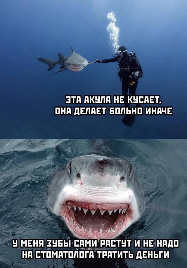 Приколюшные картинки - Бодибилдинг форум AnabolicShops