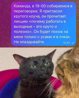 Приколюшные картинки - Бодибилдинг форум AnabolicShops