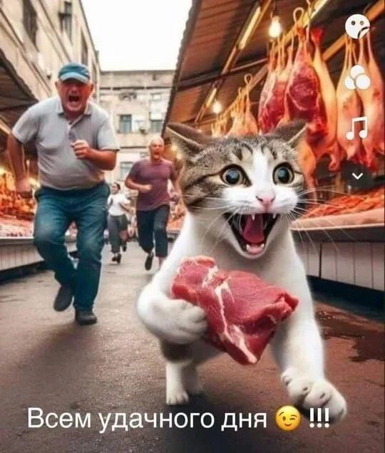 Hilma pro - Мы вернулись! и запустили Акцию! - Бодибилдинг форум AnabolicShops
