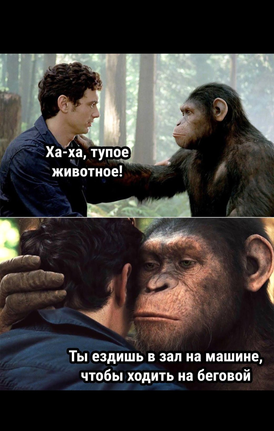 Hilma pro - Мы вернулись! и запустили Акцию! - Бодибилдинг форум AnabolicShops