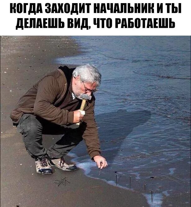 Hilma pro - Мы вернулись! и запустили Акцию! - Бодибилдинг форум AnabolicShops