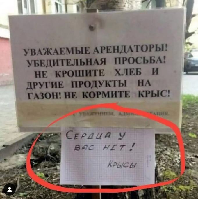 Курилка- разговоры на любые темы - Бодибилдинг форум AnabolicShops