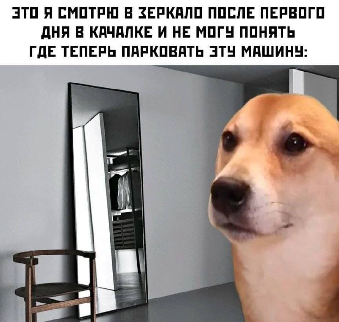 Hilma pro - Мы вернулись! и запустили Акцию! - Бодибилдинг форум AnabolicShops