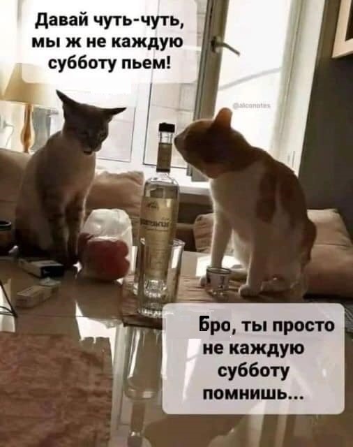 Курилка- разговоры на любые темы - Бодибилдинг форум AnabolicShops