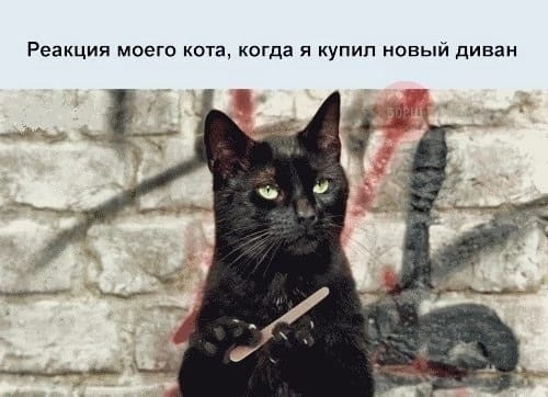 Анекдоты обо всем - Бодибилдинг форум AnabolicShops