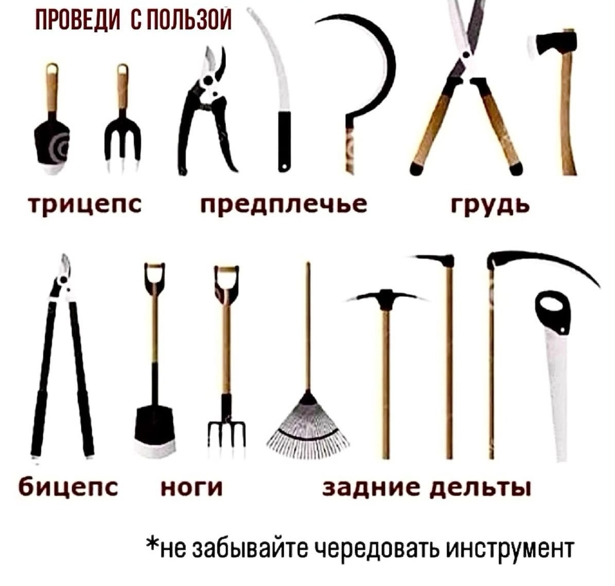 Hilma pro - Мы вернулись! и запустили Акцию! - Бодибилдинг форум AnabolicShops