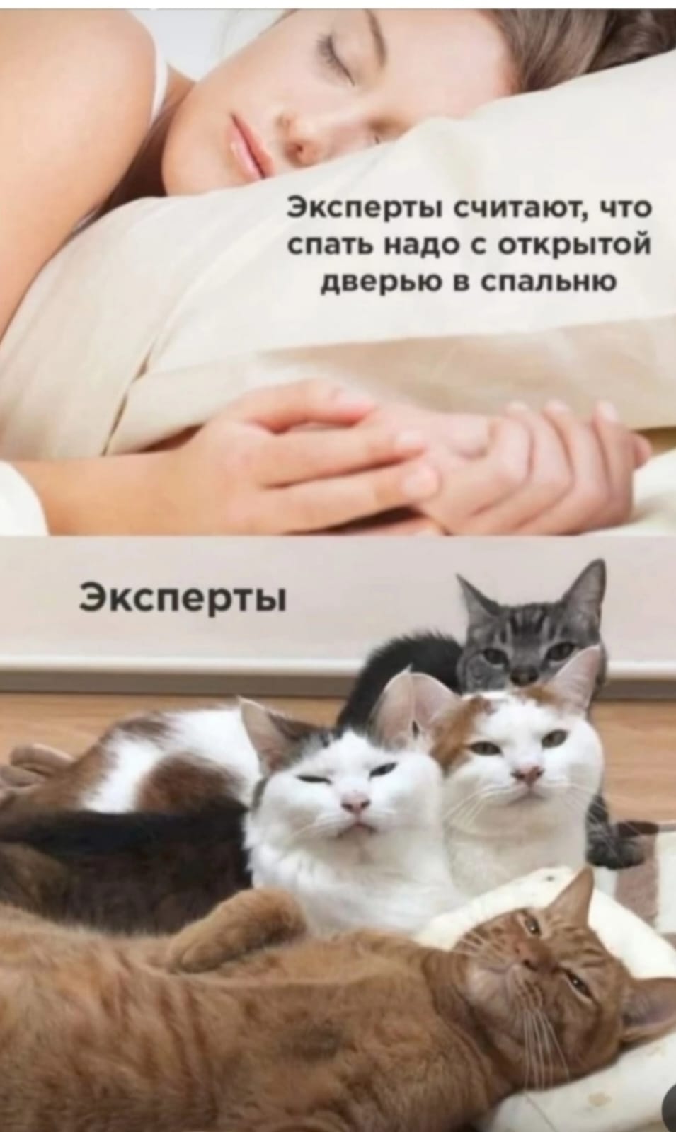 Приколюшные картинки - Бодибилдинг форум AnabolicShops