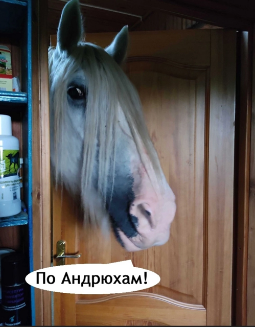 Приколюшные картинки - Бодибилдинг форум AnabolicShops