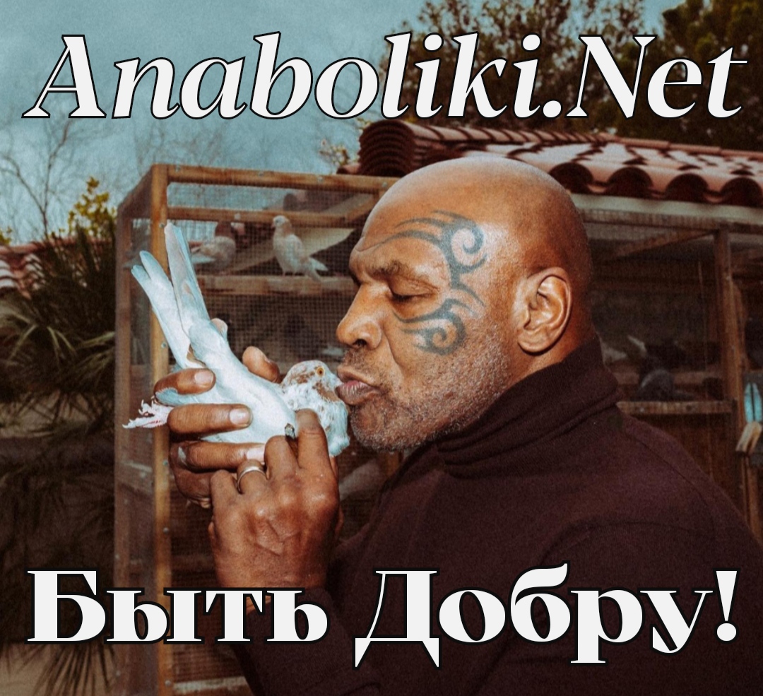 АНАБОЛИКИ.net - оф.дилер SP, Zerox, Genetic, Magnus, Lyka ! - Бодибилдинг форум AnabolicShops