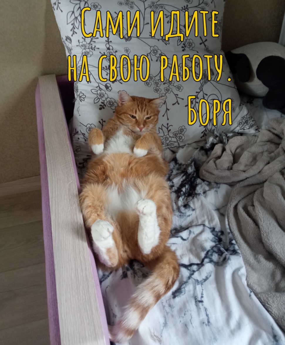 Мои домашние питомцы - Бодибилдинг форум AnabolicShops