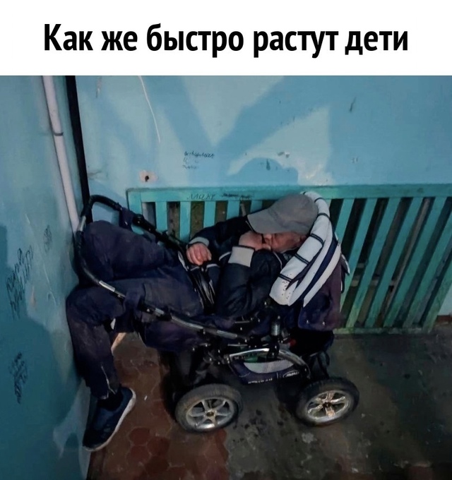 Приколюшные картинки - Бодибилдинг форум AnabolicShops