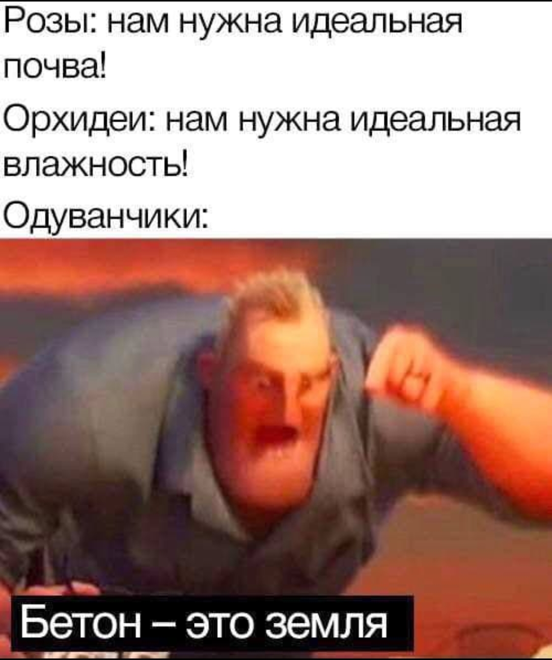 Приколюшные картинки - Бодибилдинг форум AnabolicShops