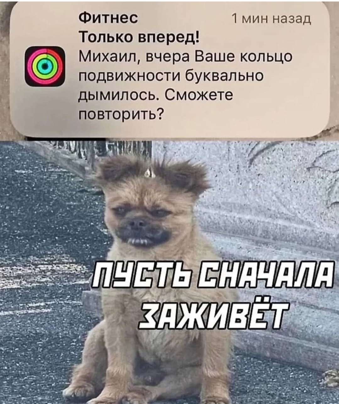 Курилка- разговоры на любые темы - Бодибилдинг форум AnabolicShops