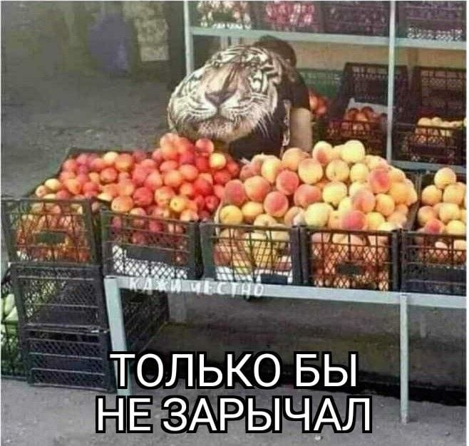 Приколюшные картинки - Бодибилдинг форум AnabolicShops