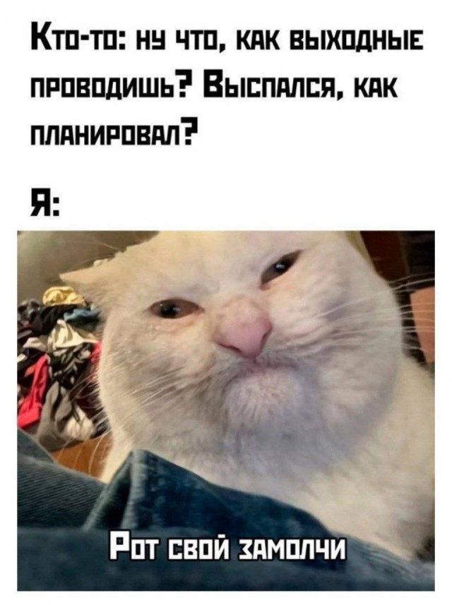 Курилка- разговоры на любые темы - Бодибилдинг форум AnabolicShops