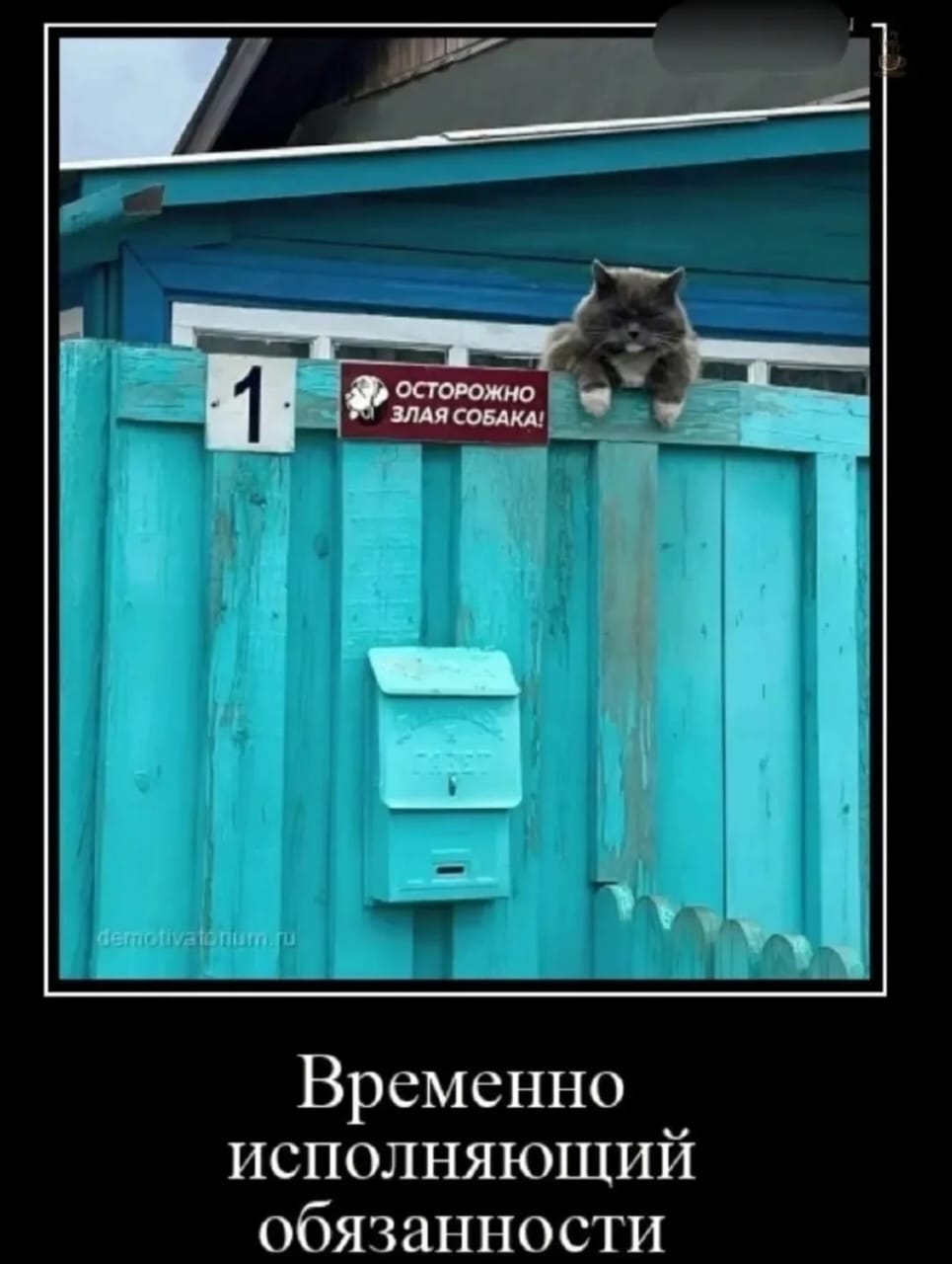 Мои домашние питомцы - Бодибилдинг форум AnabolicShops