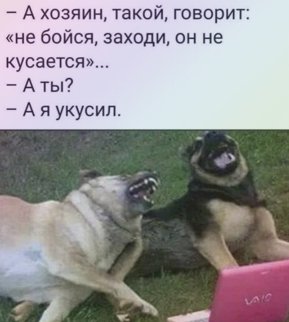 Мои домашние питомцы - Бодибилдинг форум AnabolicShops